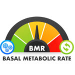 How to increase the basal metabolic rate
